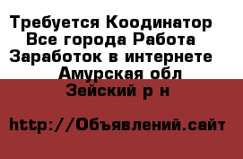 Требуется Коодинатор - Все города Работа » Заработок в интернете   . Амурская обл.,Зейский р-н